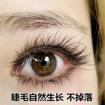 (Wei Ya recommended) bid farewell to false eyelashes eyelashes thick long curl natural growth eyebrow nourishing fluid
