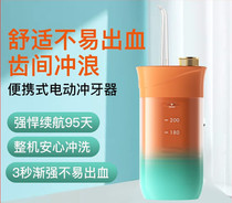 Electric tooth irrigator dental washer portable household water floss tooth seam millet porridge cleaning and flushing orthodontic Special