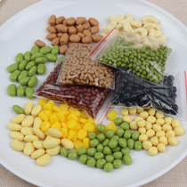 Simulation food grains beans model peanuts fake cashews soybeans red beans black beans green beans props
