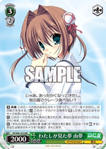 WS Circus 20th Anniversary DC W81-015 in Wes Circus See Dreams by Dream (RR)