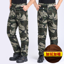 Cold storage special cotton pants winter wear plus velvet thickened mens freezer work pants wear-resistant loose labor insurance camouflage pants