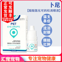 Bunicotisone eye drops cat nose cat conjunctival keratitis cat dog eye inflammation anti-inflammatory eye drops