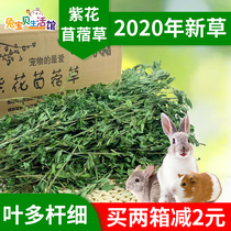 21 years fresh dried ALFALFA young rabbit hay CHINCHILLA RABBIT grass Rabbit food Rabbit feed 1KG pack