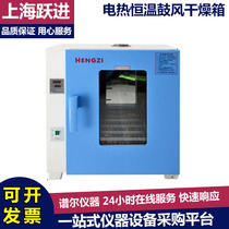 Shanghai Yuejin HGZF-9023 9053 9123 9203 Desktop electric constant temperature blast drying oven baking box