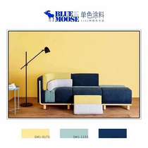 BLUEMOOSE monochrome paint (T100) home Environmental Health modern simple and high quality household