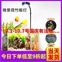 Fish Tank led special light waterproof small energy-saving lighting mini aquarium water tank Moss micro landscape