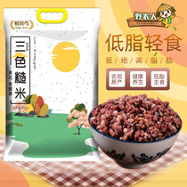 Three-color brown rice new rice grains red rice black rice rough season coarse grain fitness germ Rice 10 fat less rice 5kg