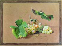 Cross stitch drawings Redraw source file Grapes Grapes