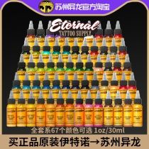 Suzhou Isolong Tattoo Equipment Iterno Pigment Original Dress Import Color Common Color Total Color 67 Color Tingling Green Paint