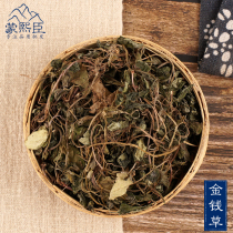 Chinese Herbal medicine Qianqian Grass Chinese Herbal medicine 500g Super grade row knot crossing yellow big leaf Qianqian Grass dried Chinese Herbal stone tea