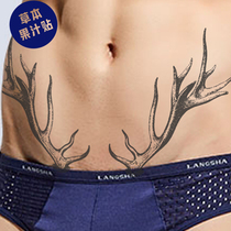 The song of the deer the song of the herbal juice the antlers the belly the belly the handsome man the waterproof the long-lasting buy one get one free