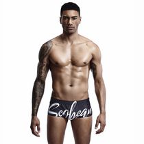 Xibin seobean summer mens new flat corner swimming trunks low waist sexy big letter swimming trunks
