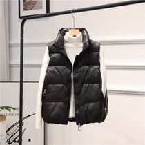 Vest female 2021 New Lady autumn and winter wear coat vest Joker shoulder outside Korean version of Down horse clip