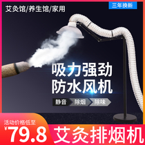 Moxibustion smoke extractor Household small mobile smoking artifact Indoor smoke exhaust system smoking machine smoke purifier