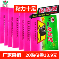 Yongkai god cat sticky mouse board super sticky force to catch mice stick glue mouse catching artifact big and small mice a nest end