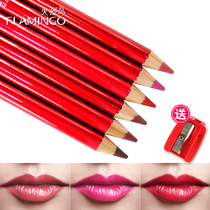 Flamingo Lip Liner Matte nude Red hummus lipstick pen Outline lip pen Long-lasting waterproof does not fade