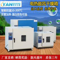 Electric constant temperature blast drying oven oven laboratory aging test chamber small high temperature oven industrial dryer