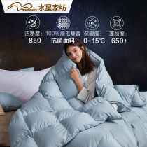 Mercury home textile Ashley antibacterial anti-mite feather winter quilt hotel Songhua River duck down was thickened in spring and autumn