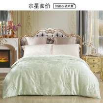 Mercury home textile silk quilt core warm quilt double winter quilt Versailles song mulberry silk thickened winter quilt core