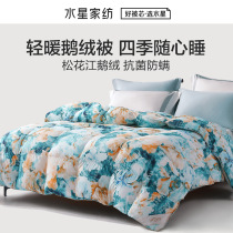 Mercury home textile goose down winter quilt antibacterial anti-mite warm quilt core household single double bed supplies 2021 New Products
