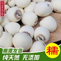 Xiang lotus seeds Hunan Xiangtan premium white lotus seeds with core dermabrasion dry goods 500g sulfur-free dried lotus seeds with heart