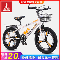 Phoenix children Primary School students bicycle 20 inch boy 8 years old 10-12 year old girl 22 inch middle child mountain bicycle