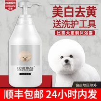 Bears special dog shower gel whitening yellow to remove tear marks killing mites and sterilization white adult puppies