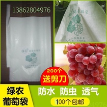 Green agricultural grape bag Grape fruit bag open-air grape bag Special bag Lotus fog bag waterproof and insect-proof wood pulp paper bag