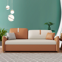 Technology cloth sofa bed living room 2021 net red new push-pull dual-use simple single small apartment sofa