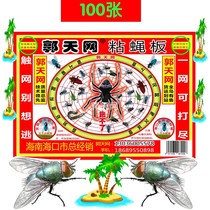 Guo Tiannet Large Zhang Sticky Fly Board Sticky Fly Sticky Fly and Fly Paper Catching Fly Killing Fly Environmental Protection Green 100 Chang