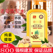 Ginger king shampoo for men and women anti-hair loss without silicone oil Oil control anti-dandruff anti-itching ginger juice anti-hair loss shampoo