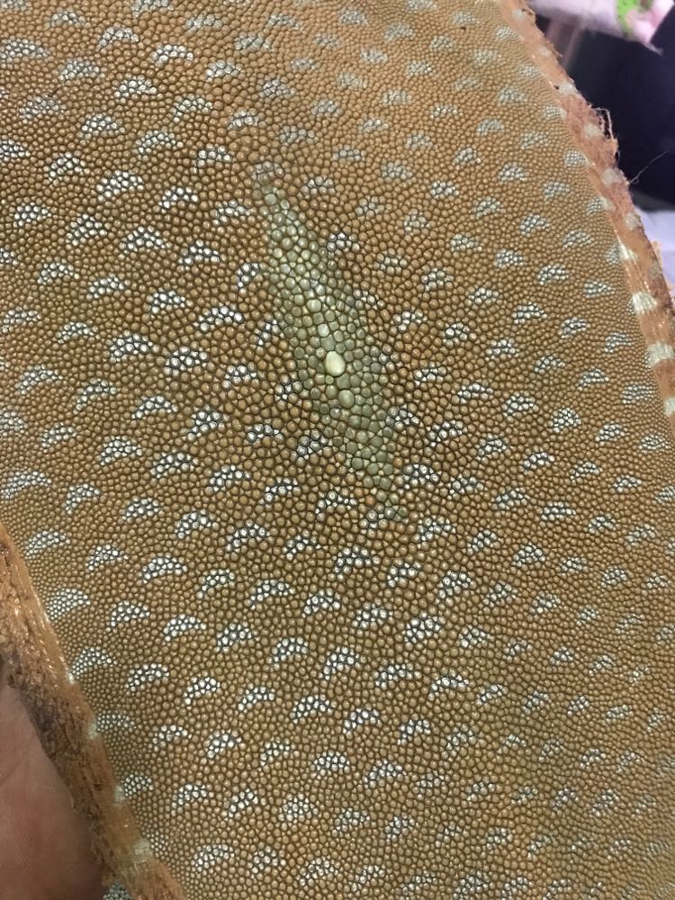 Pearl fish skin 40 yuan a