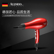 ALISEO Avery show hair dryer 010494 electric hair dryer home power bathroom wall-mounted hair blowing