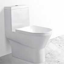 Arrow Toilet Straight Flush Type Home Small Household Type Toilet 250350 Pit Distance Toilet Pumped ceramic seat