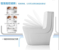 ROCA LeHome di Barco Divided Toilet (with water tank damping cover plate) Line down the same