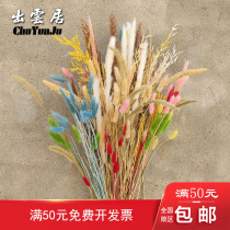 Natural real wheat oats rice Reed Rice ear bouquet wheat ear dried flower decoration home living room display barley