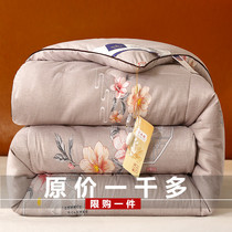  Silk quilt 100 mulberry silk quilt Spring and Autumn quilt quilt core 8 kg double 10 kg silk quilt winter quilt Summer cool quilt single person
