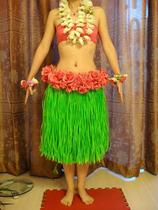 Hawaiian Hula suit Hawaiian Hula performance suit Adult performance suit Performance costume