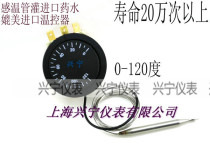 Imported quality 0 ~ 120 degree liquid switch can be imitated by imported knob mechanical thermostat