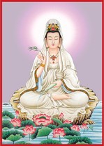 Buddha portrait Knot portrait Pure land Guanyin Bodhisattva figure Buddha image 009 Photo paper double-sided plastic Amitabha Buddha