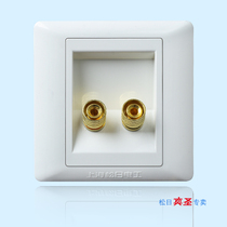 Shanghai Songri Switch Socket 86 Single (Two-port) Audio Horn Socket 620072