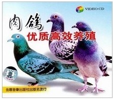 打黑重案组1-40集