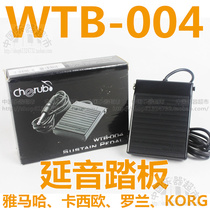 Little Angel Electronic keyboard sustain pedal WTB-004 Yamaha Casio Universal Sustain pedal
