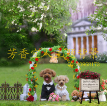 Professional studio curtain background cloth photo studio wedding theme waterproof PP paper photo studio S-463