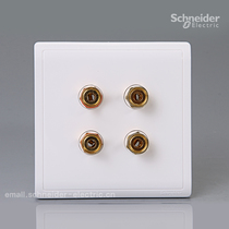 Schneider Pieno Fengshang (white) double speaker connector