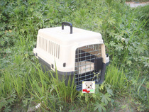 Comply with IATA International Freight Standard Air Box No. 2 60*40 * 40cm Dog Cage Aircraft Cage