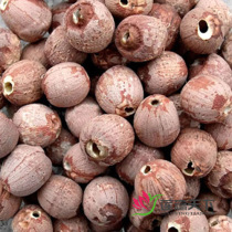 New Lotus wins the World Honghu lotus seed without core skin wild Honghu red lotus seed race Xianglian origin