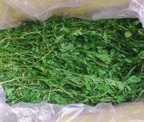 2021 special excellent alfalfa grass leaves big green rod fine quality super good Plus box 1KG