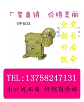 WPEDS worm gear iron shell vertical motor flange input type small turbine reducer universal Reducer
