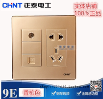 Chint Switch Socket NEW9E Champagne 120*120 TV Computer Plus Five Hole Two Three Socket Panel